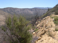 DSCN3272