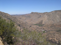 DSCN3273