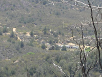 DSCN3275