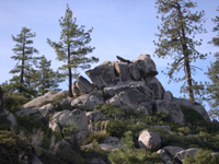 DSCN3283