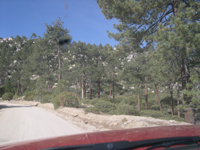 DSCN3284