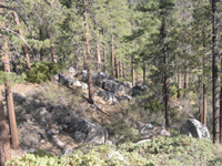 DSCN3286